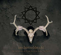 My Horns Are a Flame to Draw Down the Truth Music CD