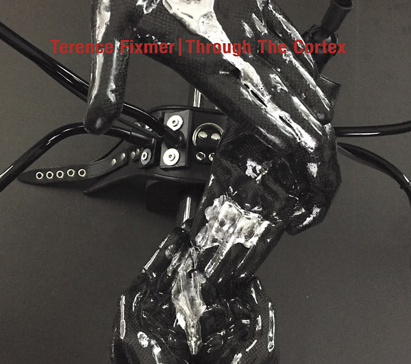 Through The Cortex Music CD