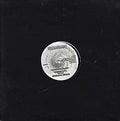 TERRY BROOKES - Altered Perceptions Vinyl Record