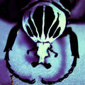 Make A Pest A Pet Vinyl Record
