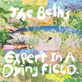 Expert In A Dying Field Music CD
