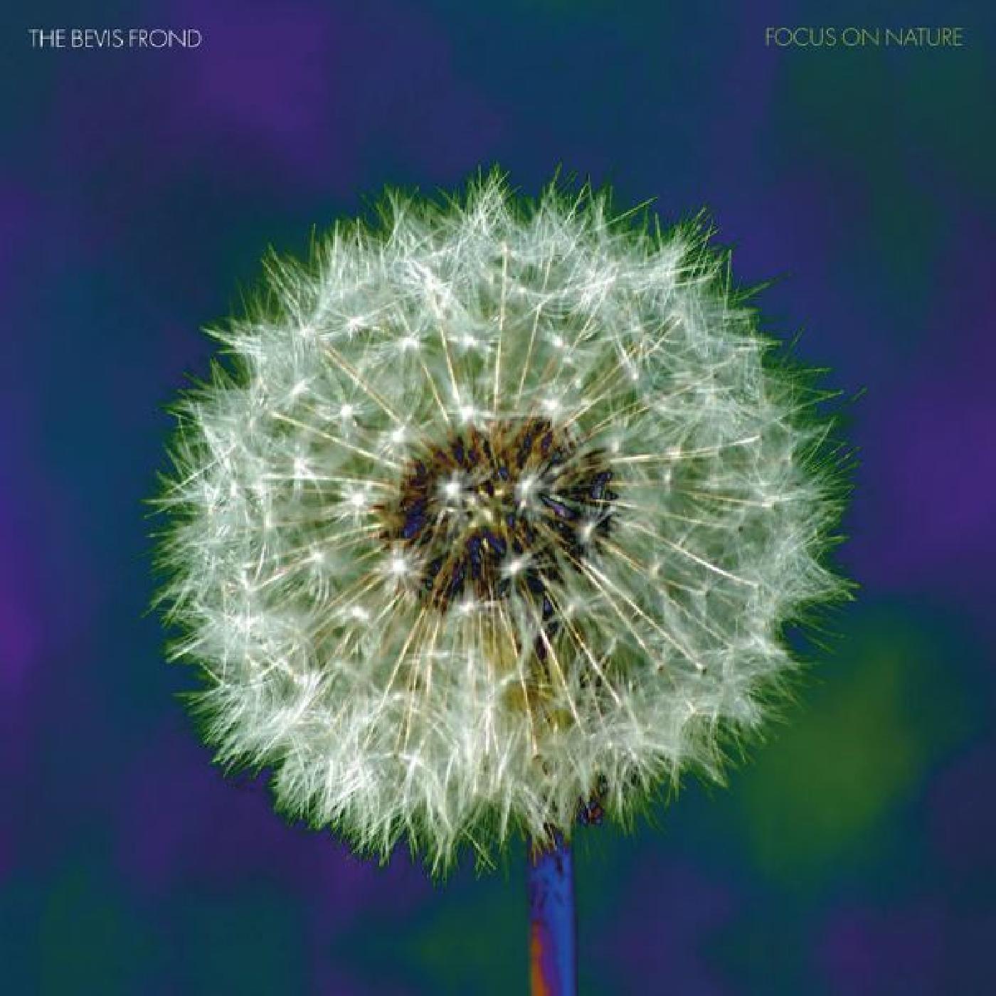 The Bevis Frond - The Bevis Frond Focus on Nature Vinyl Record