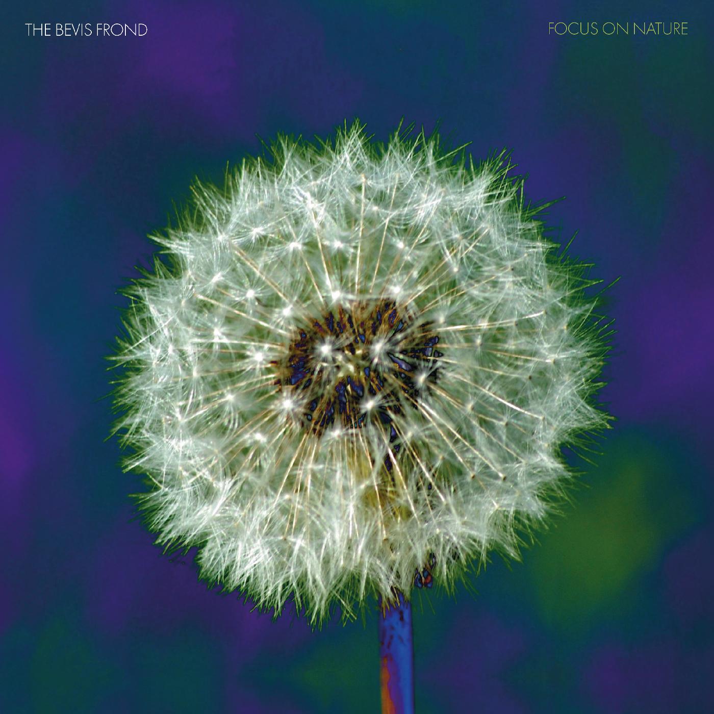 Focus on Nature Music CD