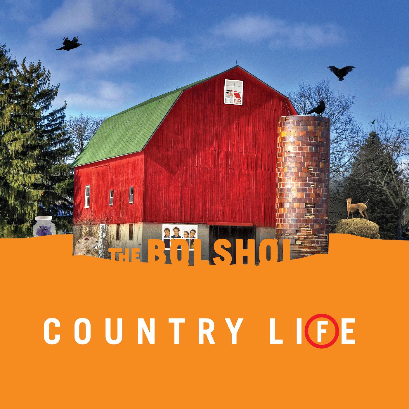 Country Life (GREEN & ORANGE VINYL) Vinyl Record