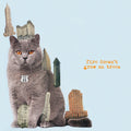 Fire Doesn't Grow On Trees Music CD