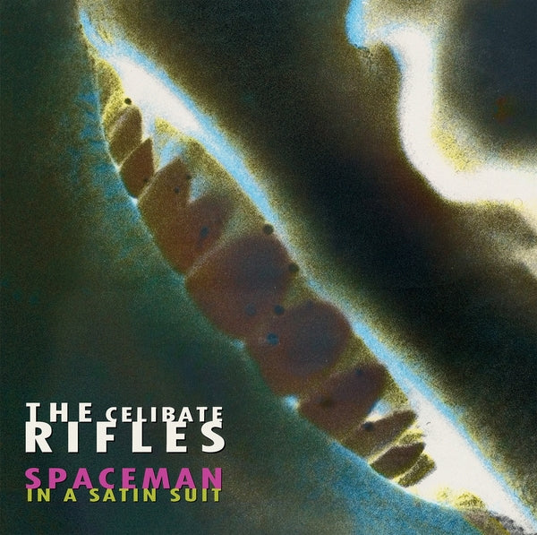 Spaceman In A Satin Suit Vinyl Record