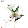 Hidden City (CV 45 Audiophile Edition 2x VINYL) | Mint (M) Mint (M)
