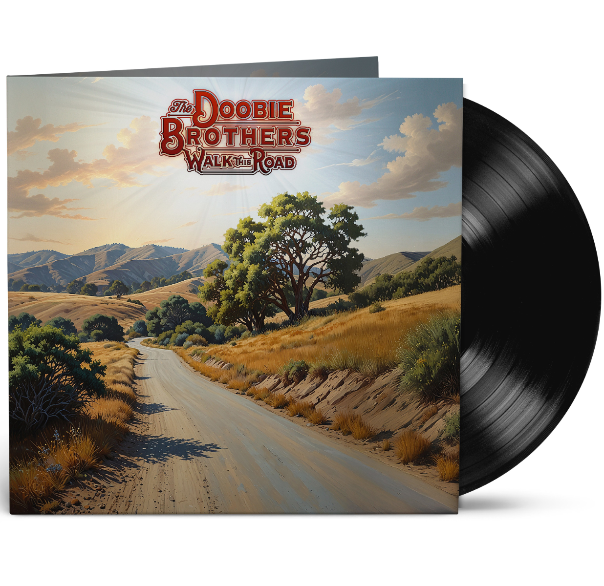 Walk This Road (VINYL) | Mint (M) Mint (M)