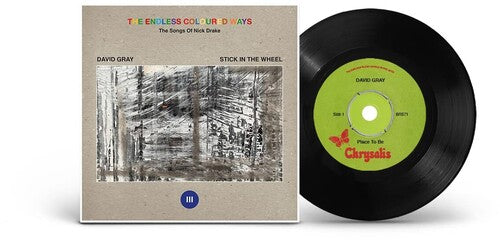 David Gray The Endless Coloured Ways: The Songs of Nick Drake [7" Single] Vinyl Record