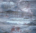 Semper Liber Music CD