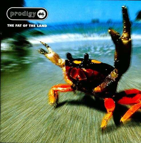 The Fat of the Land Vinyl Record