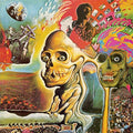 Oh My Gawd!!!... The Flaming Lips (Vinyl) |