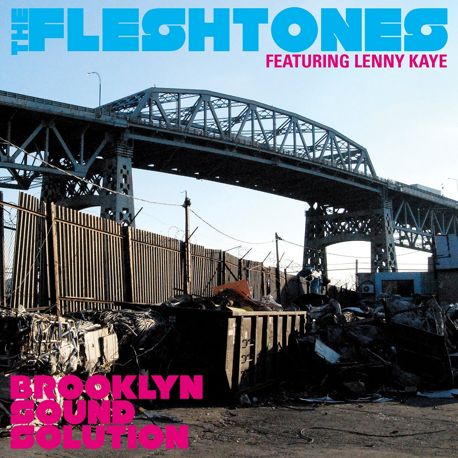 Brooklyn Sound Solution Music CD