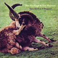 Eyes Rind As If Beggars Music CD