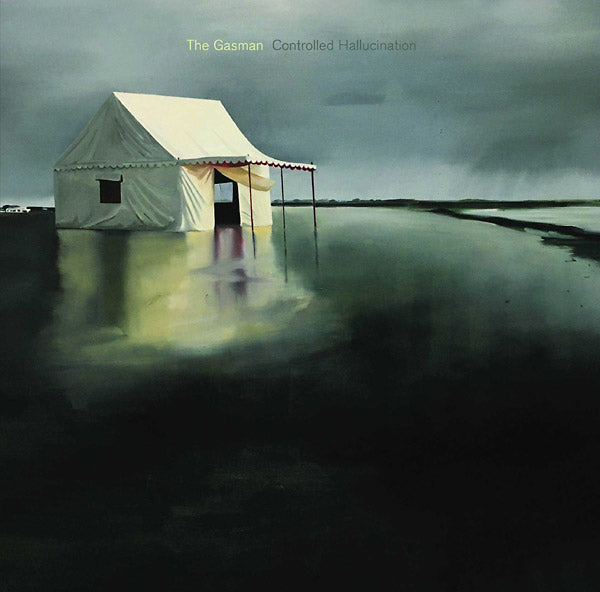 Controlled Hallucination Music CD