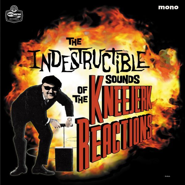 The Indestructible Sounds of Vinyl Record