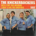 Gotta Stop This Dreaming / I Want A Girl For Christmas (7" VINYL) | Mint (M) Mint (M)