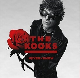 Never/ Know Vinyl Record