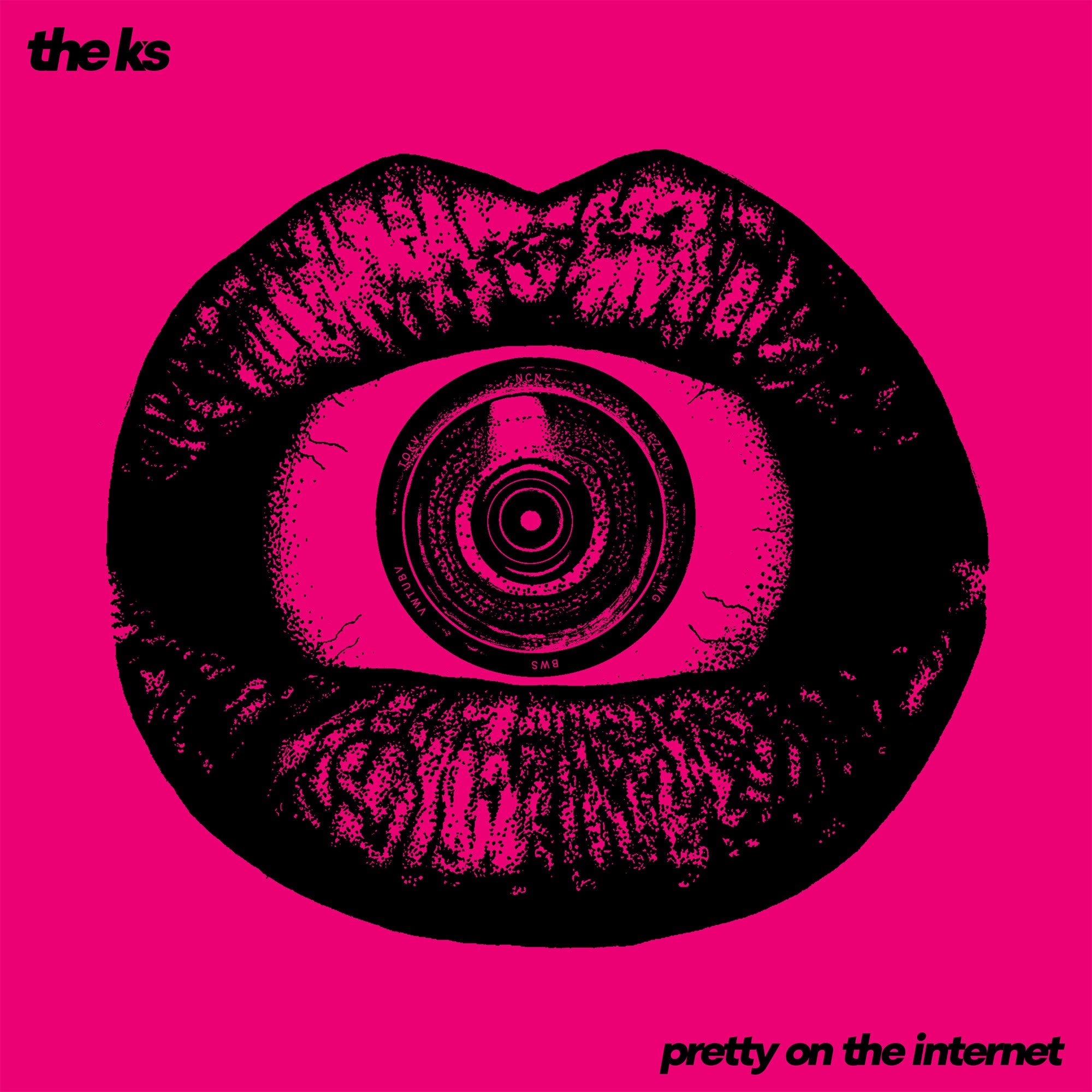 Pretty On The Internet Vinyl Record