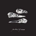 The Last Three Human Words (Demo) / Just Be Simple Vinyl Record