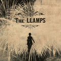 The Llamps Vinyl Record