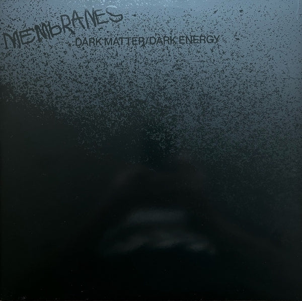 Dark Matter/Dark Energy Vinyl Record