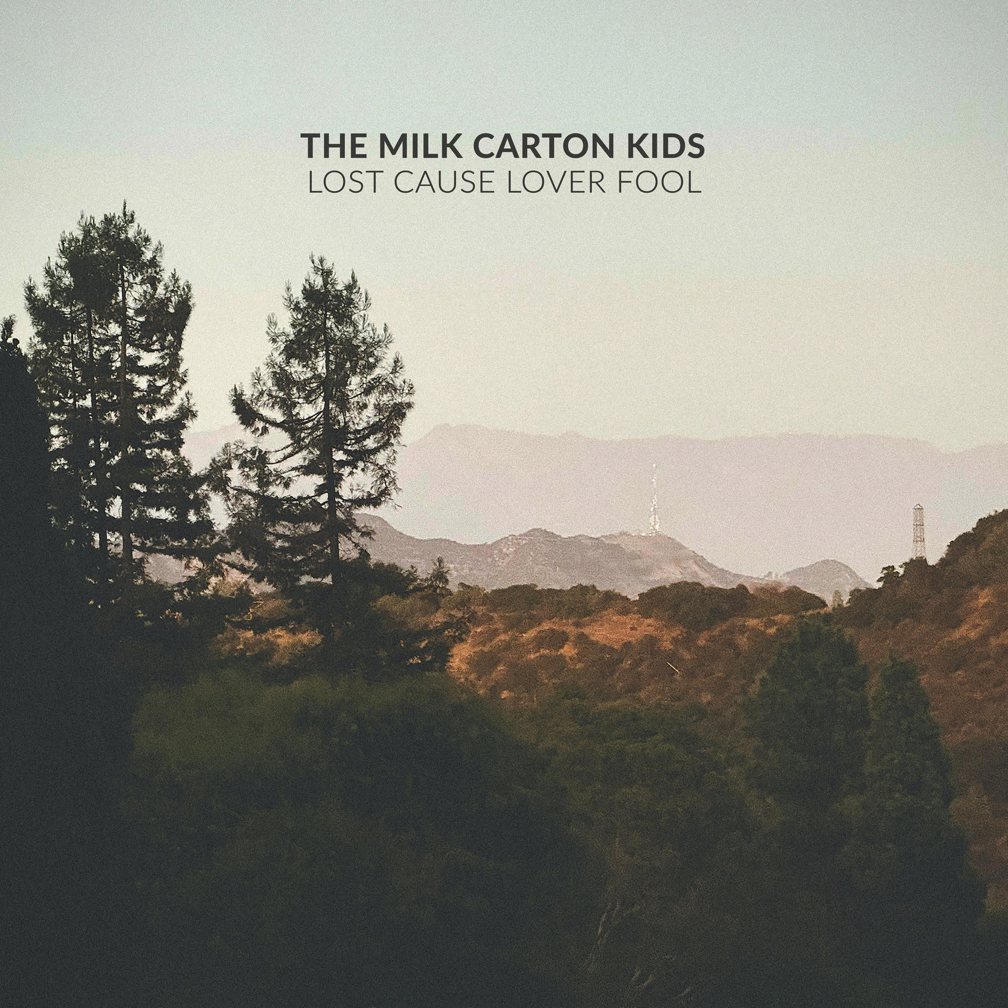 Lost Cause Lover Fool [Standard Black Vinyl] Vinyl Record