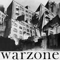 Warzone (CLEAR VINYL) Vinyl Record