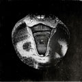The Mommyheads - Genius Killer Vinyl Record