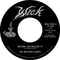 Before You Realize It B/W Cerebral Crack Vinyl Record