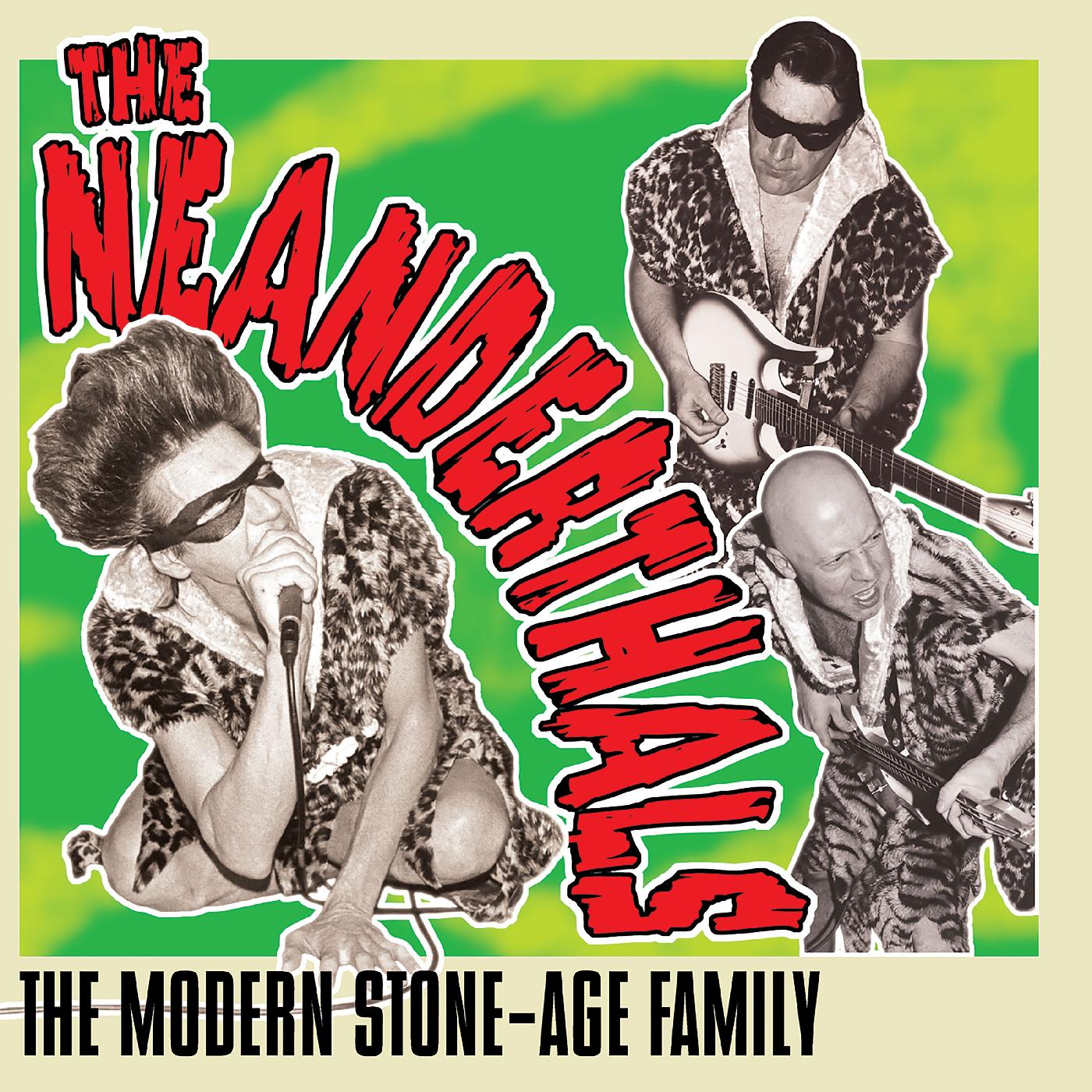The Modern Stone-Age Family (GREY VINYL) Vinyl Record