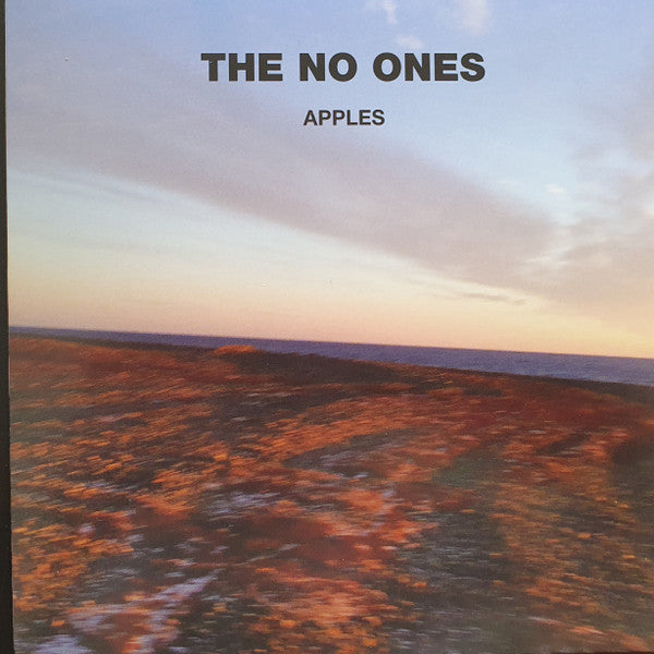 The Great Lost No Ones Album | Mint (M) Mint (M)
