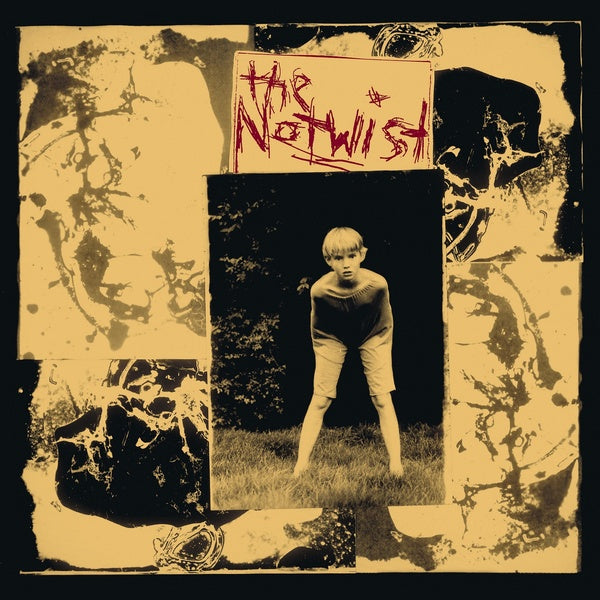 The Notwist (30 Year Anniversary Edition) Vinyl Record