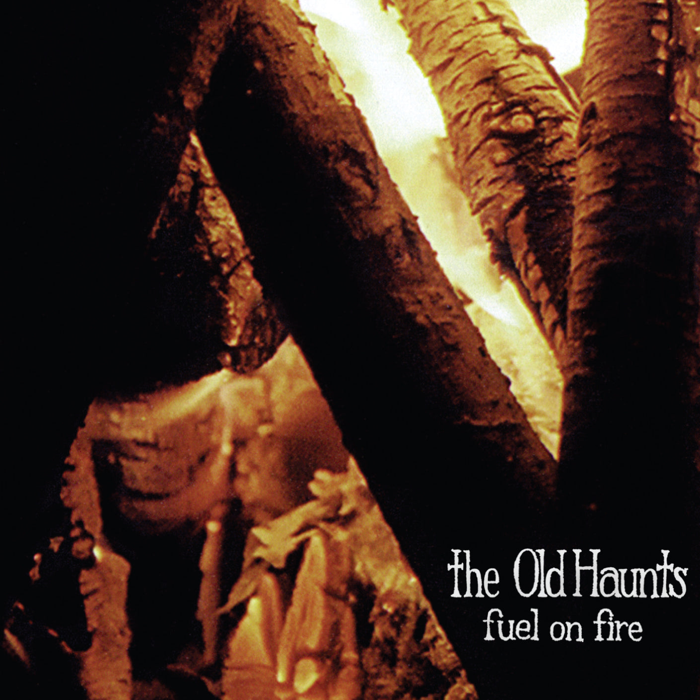 Fuel on Fire Vinyl Record