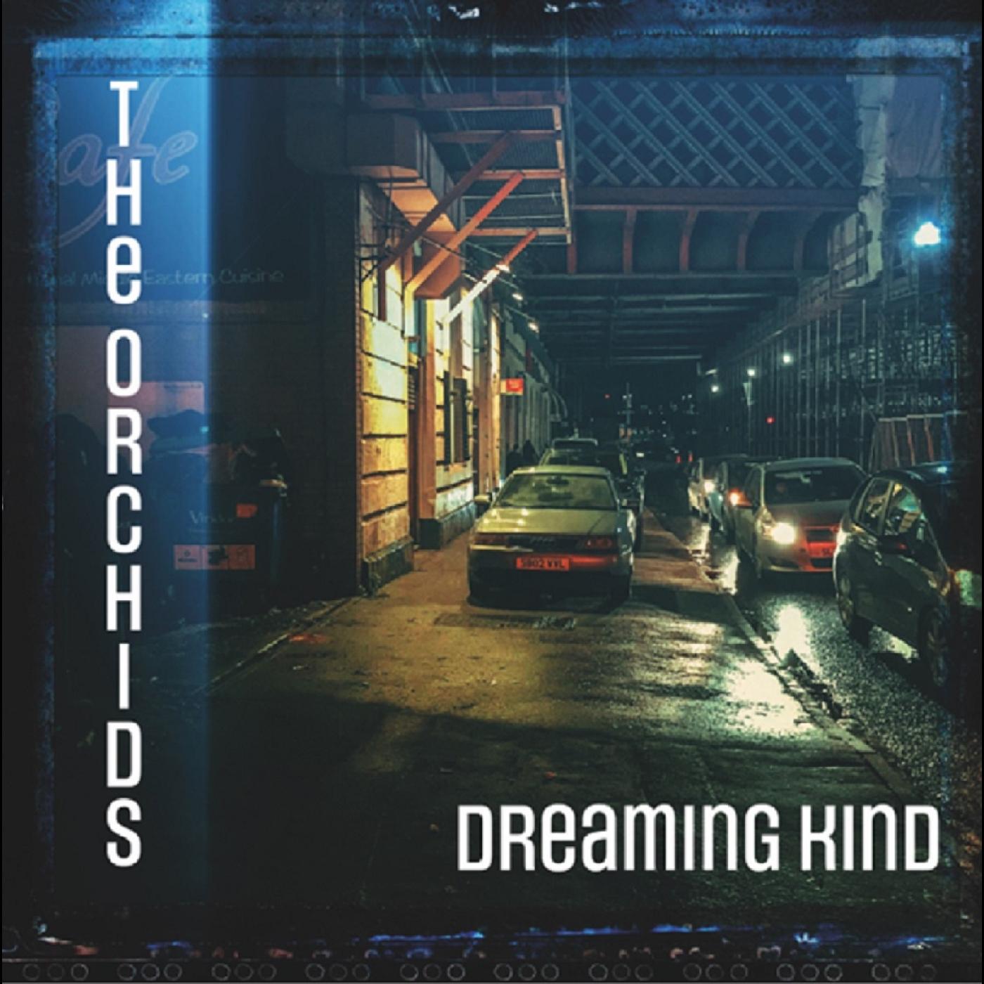 Dreaming Kind Vinyl Record