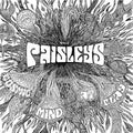 Cosmic Mind At Play Vinyl Record