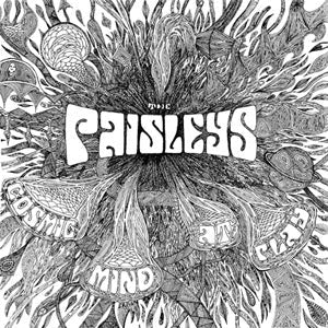 Cosmic Mind At Play Vinyl Record