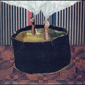 The Wants Music CD