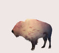 Buffalo Music CD