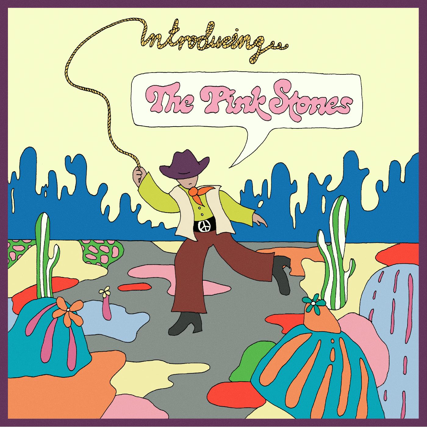 Introducing...The Pink Stones Music CD