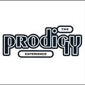 The Prodigy - Experience |