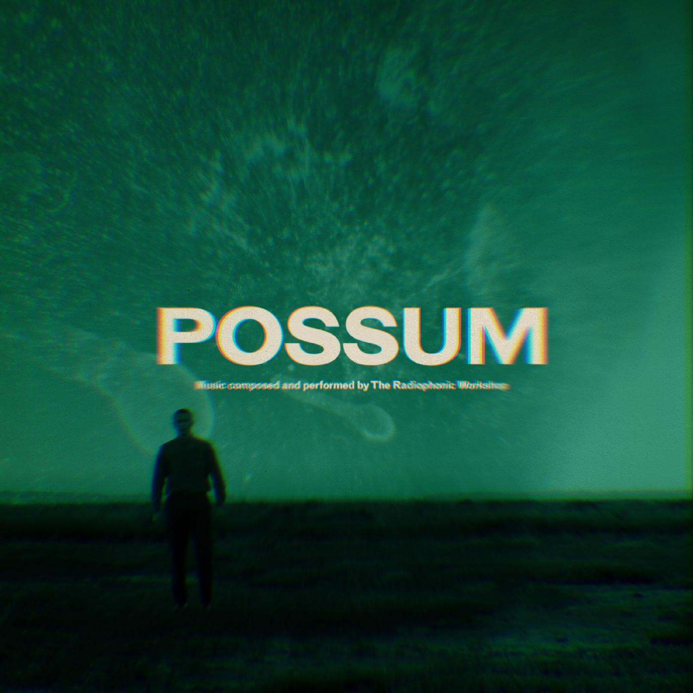 Possum Music CD