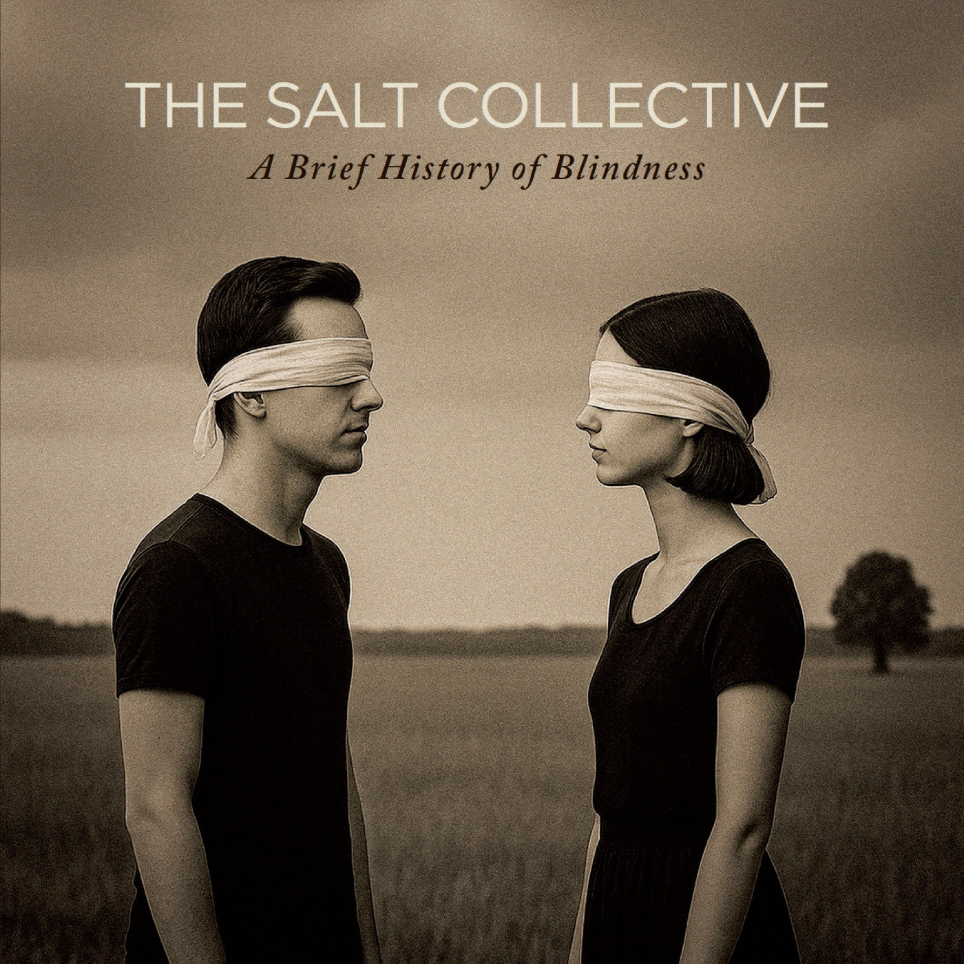 A Brief History Of Blindness Music CD