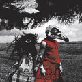 Albatross Music CD