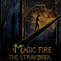 Magic Fire Vinyl Record
