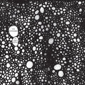 As Light Return Music CD