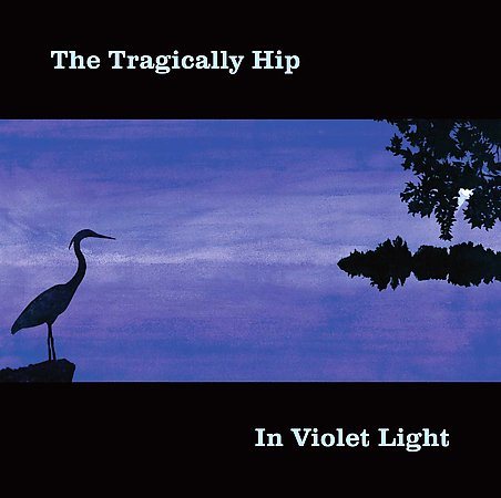 IN VIOLET LIGHT |
