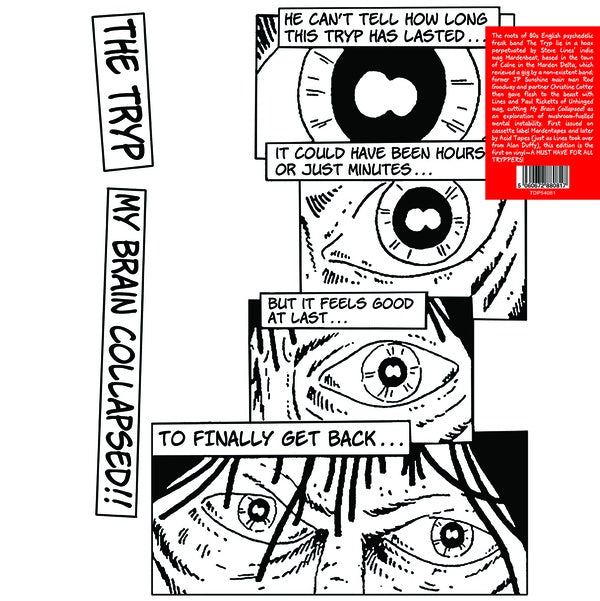 My Brain Collapsed Vinyl Record