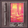 At the End of Cole Ave. - The First Night Music CD
