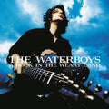 A Rock In The Weary Land (Expanded Edition) (Blue Vinyl) (Vinyl) Vinyl Record